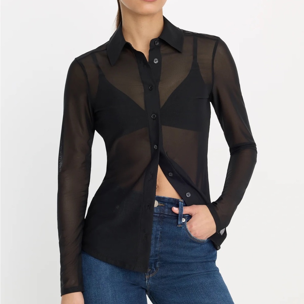 Aritzia Wilfred Sheer Button Down Blouse XS